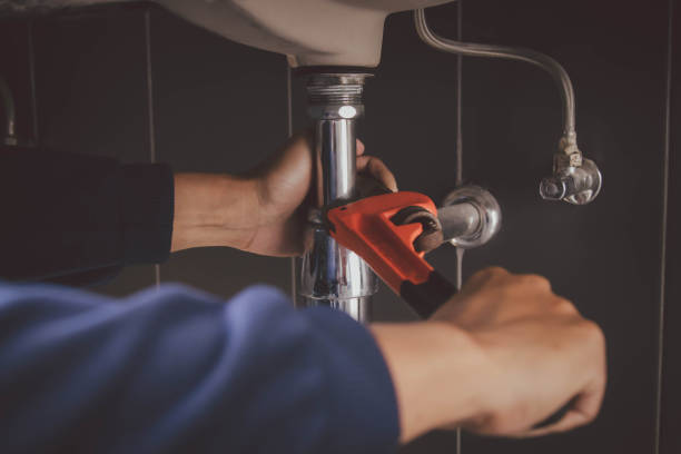 Best Local Plumber Services  in Kula, HI